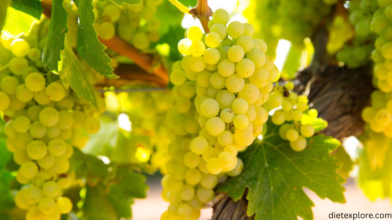 White Grapes